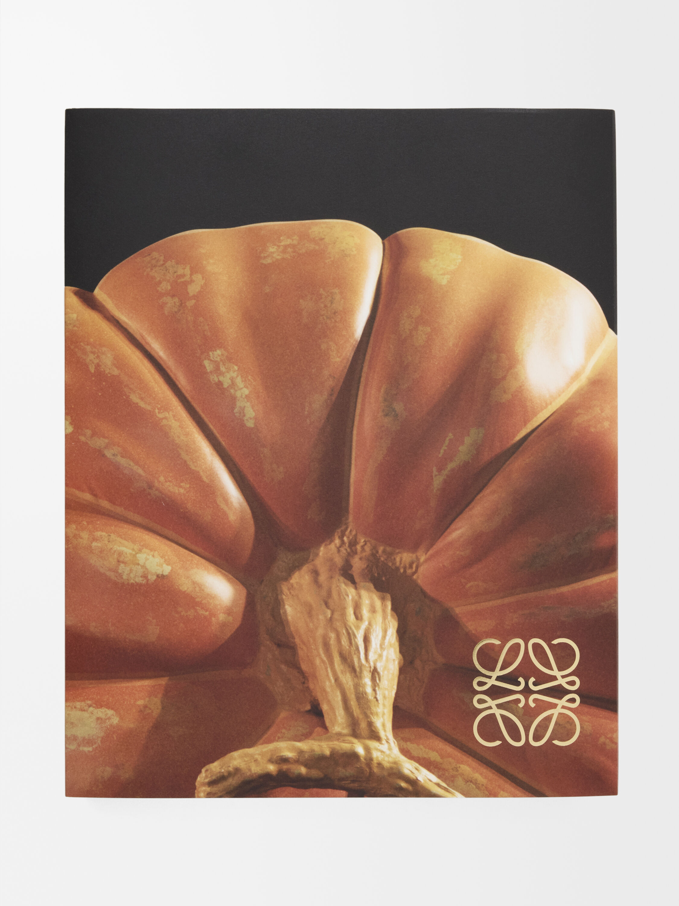 LOEWE book - A Decade of Jonathan Anderson at LOEWE